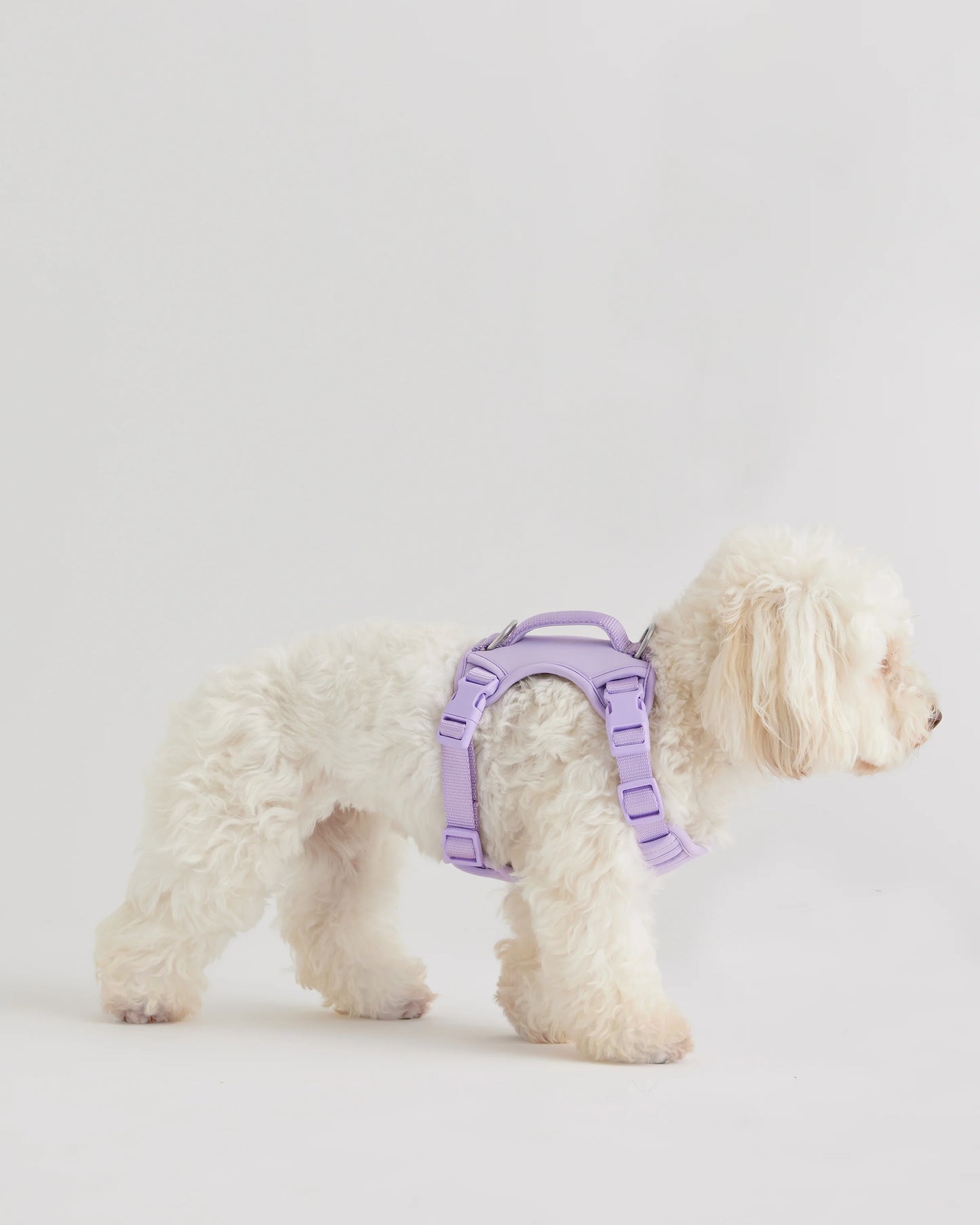 Neoprene Double Panel Dog Harness - XS / Black