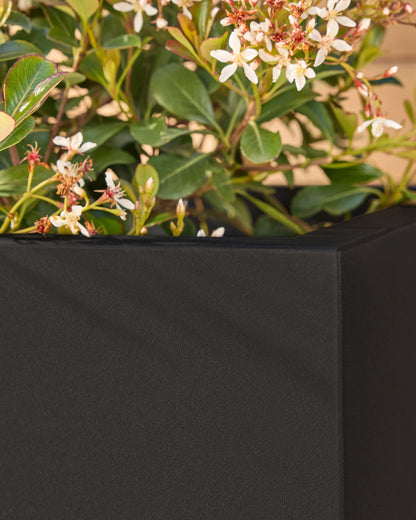 Block Series All Weather Rectangular Planter by Veradek - One Size / Black