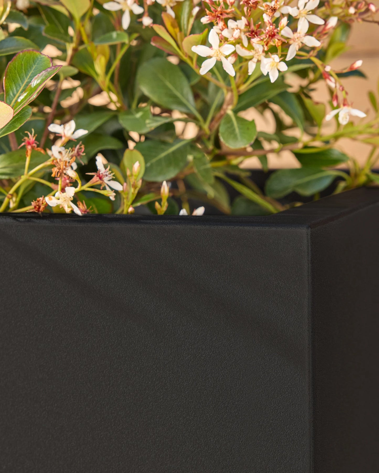 Block Series All Weather Square Planter by Veradek - One Size / Black
