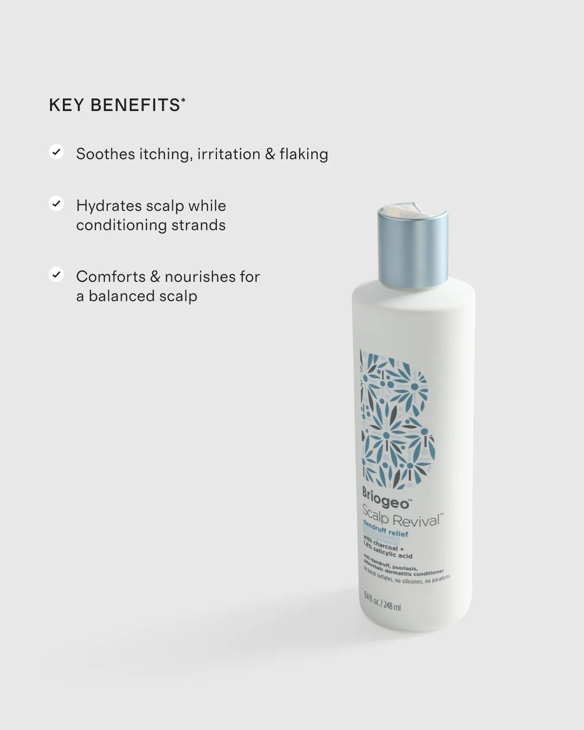 Scalp Revival™ Dandruff Relief Conditioner 8.4oz by Briogeo - One Size / No Color