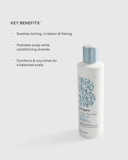 Scalp Revival™ Dandruff Relief Conditioner 8.4oz by Briogeo - One Size / No Color