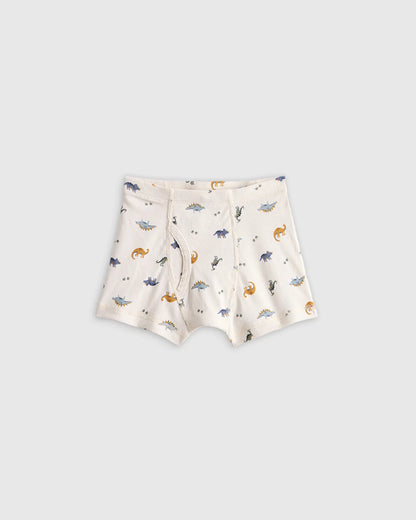 Boys 100% Organic Cotton Boxer Brief 7-Pack - 2T / Boy Multi Pack