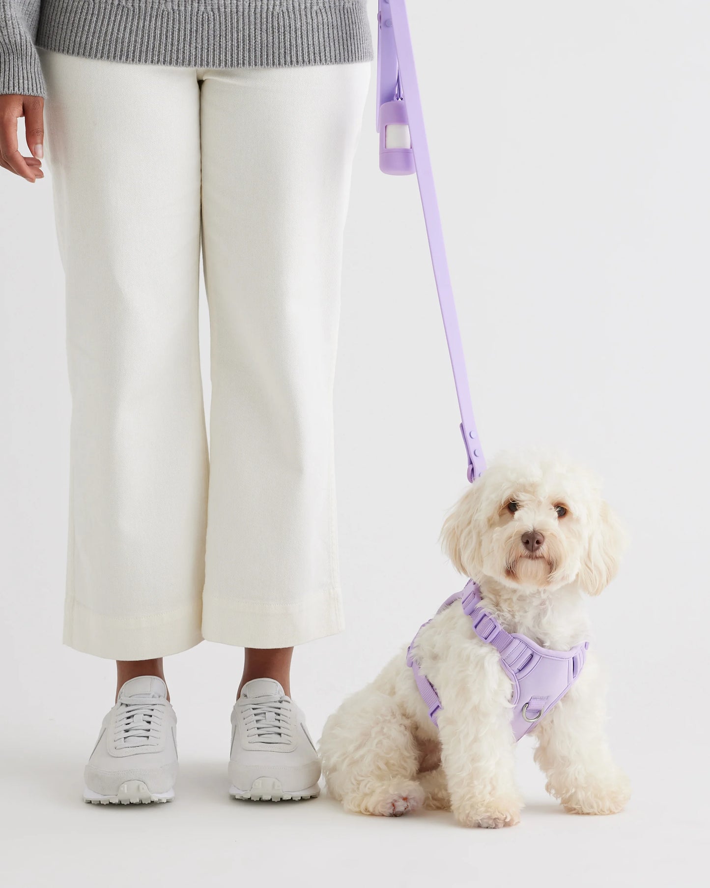 Dog Harness Walk Kit - XS / Black