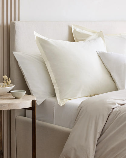 Organic Brushed Cotton Euro Sham - Euro / Dusty Olive