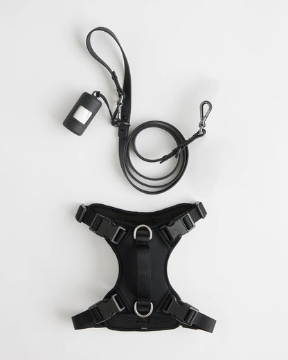 Dog Harness Walk Kit - XS / Black