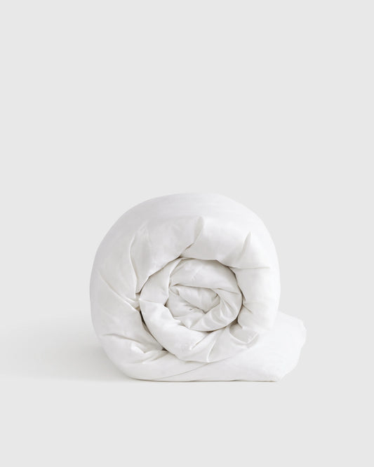 Lightweight Premium Down Duvet Insert - Twin / Down