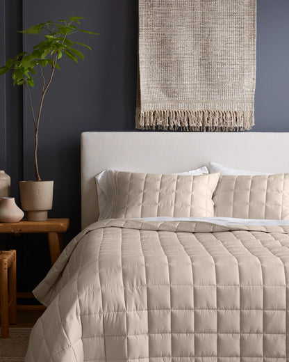 Bamboo Box Quilted Sham Set - Standard / Sage