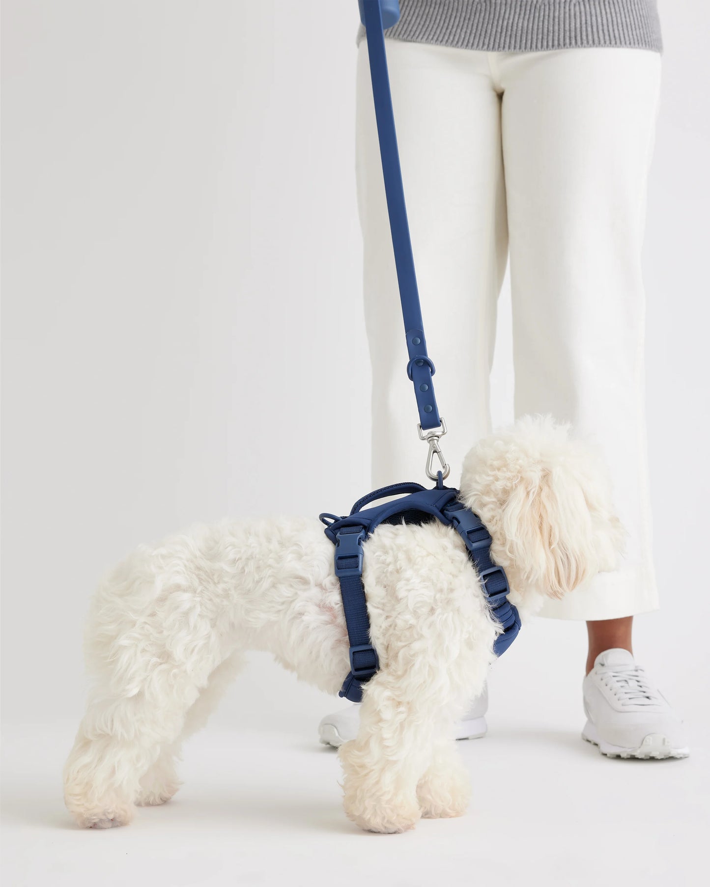 Dog Harness Walk Kit - XS / Black