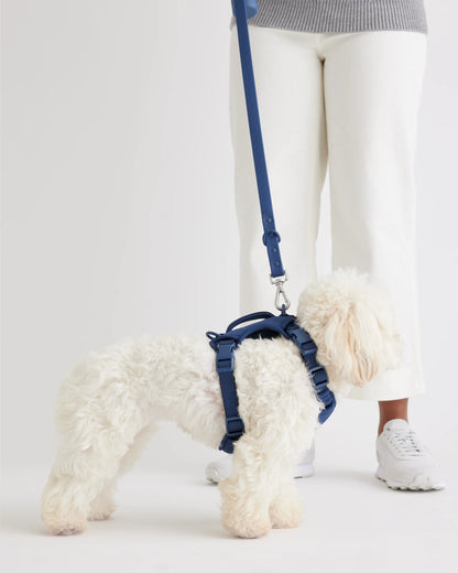 Dog Harness Walk Kit - XS / Black