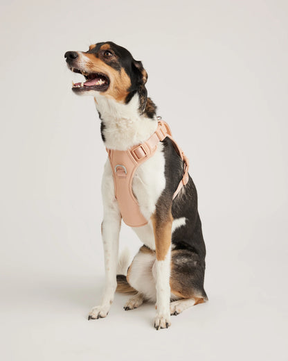 Neoprene Double Panel Dog Harness - XS / Black