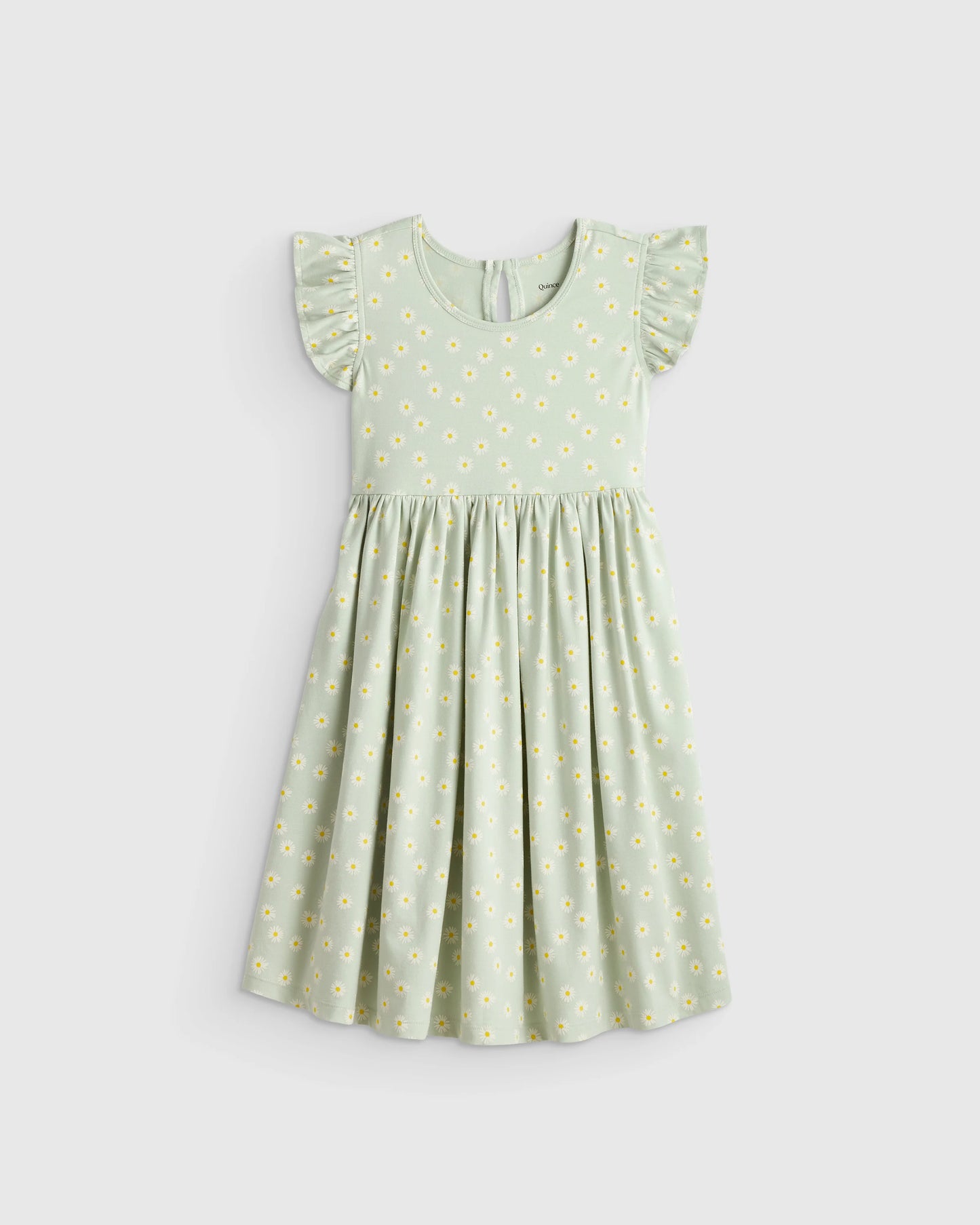 Organic Cotton Sleeveless Ruffle Dress - 2T / Aqua Daisy