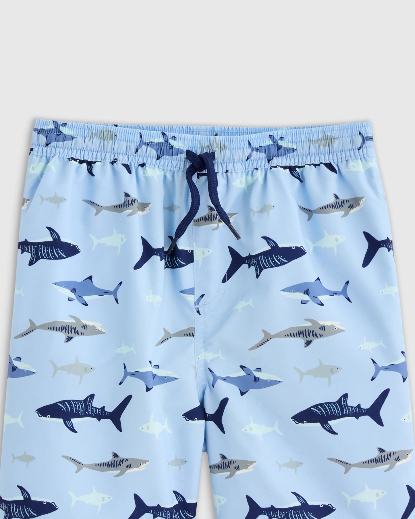 Swim Trunk - 2T / Wavy Fish