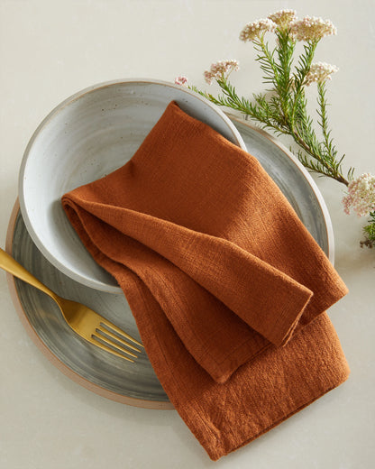 Organic Cotton Napkins (Set of 12) - One Size / Terracotta