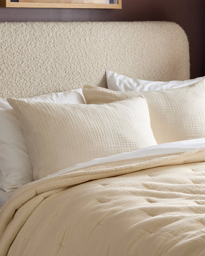 Organic Cotton Gauze Sham Set - Standard / Dried Sage