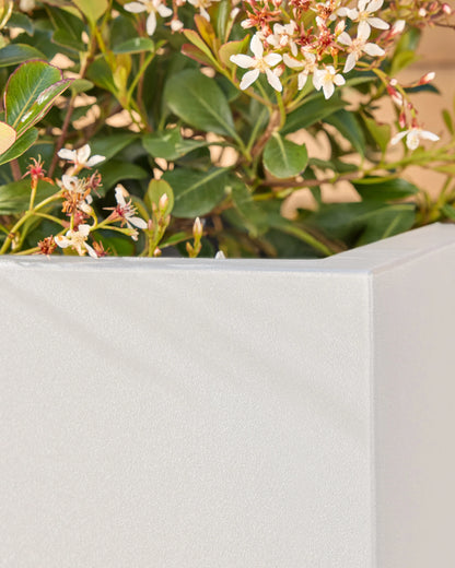 Block Series All Weather Rectangular Planter by Veradek - One Size / Black