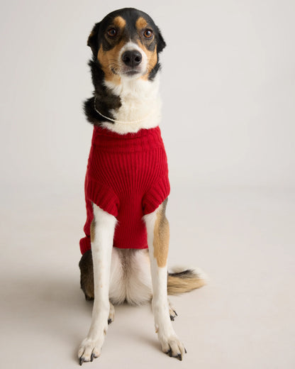 Mongolian Cashmere Cable Knit Dog Sweater - XS / True Navy