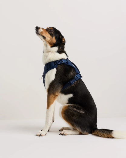 Neoprene Double Panel Dog Harness - XS / Black