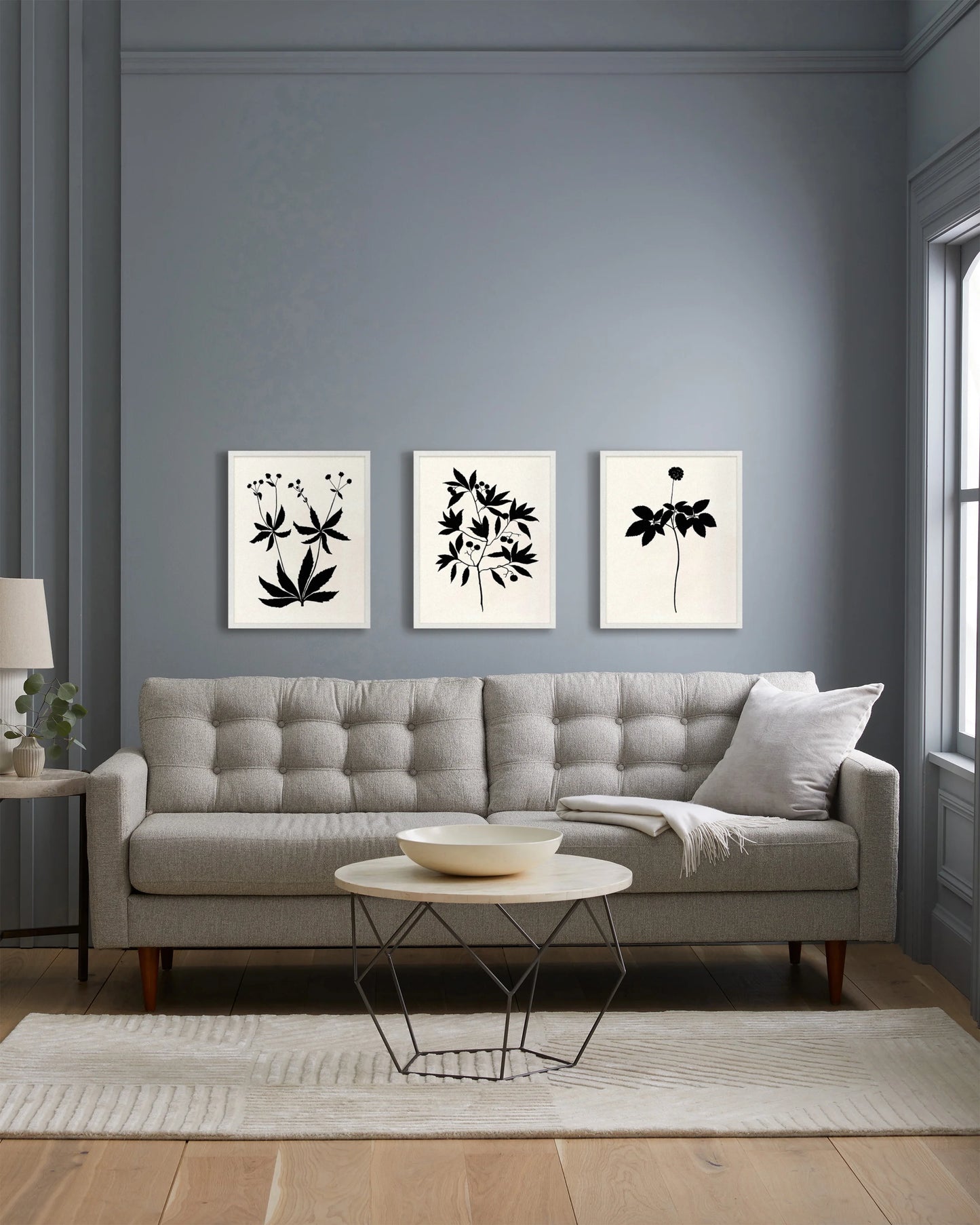 Botanical by Philippa Katz (Set of 3) - 17.25"x21.25" / Black