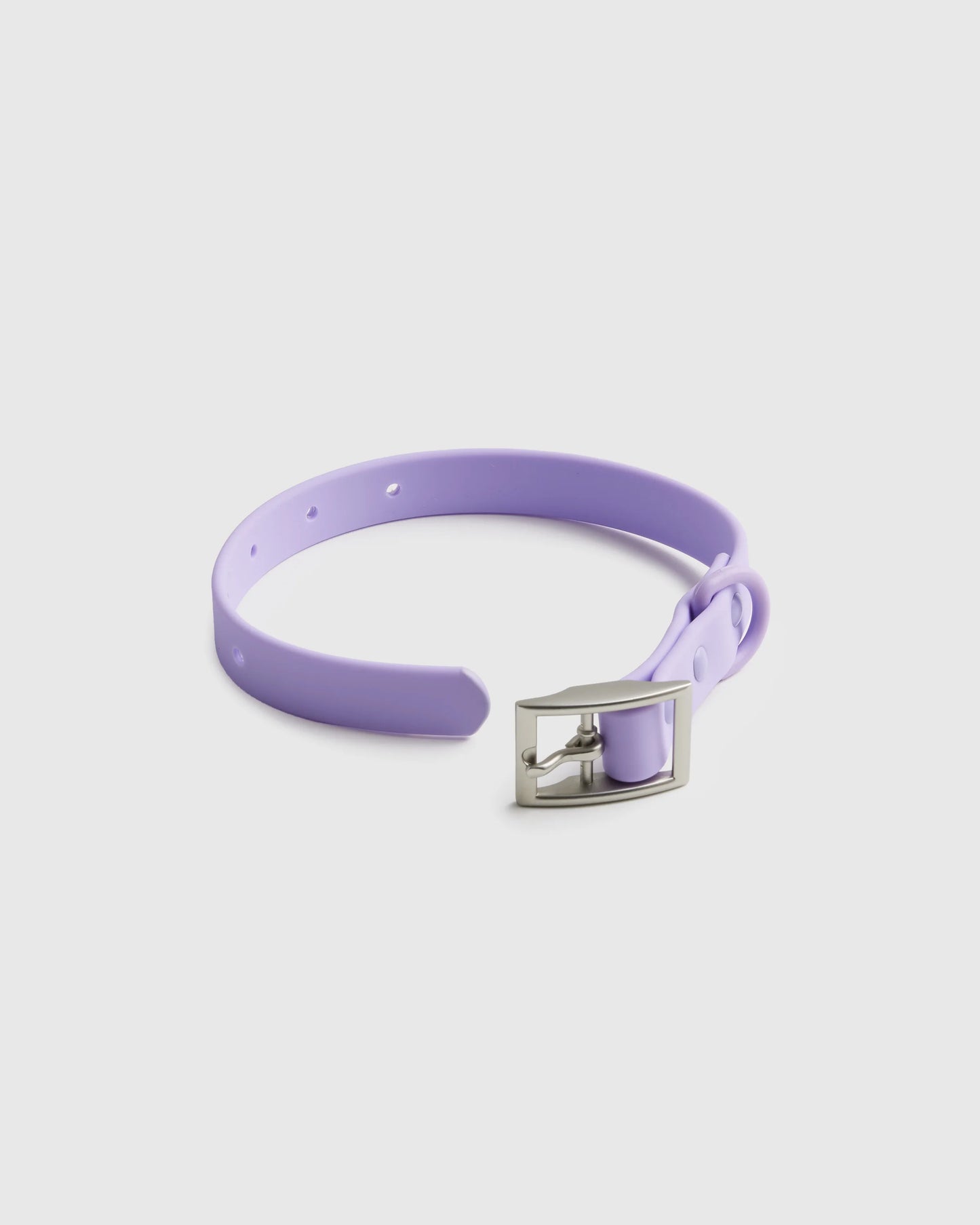 Flex-Poly Dog Collar - XS / Black
