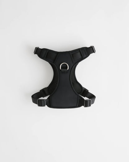 Dog Harness Walk Kit - XS / Black