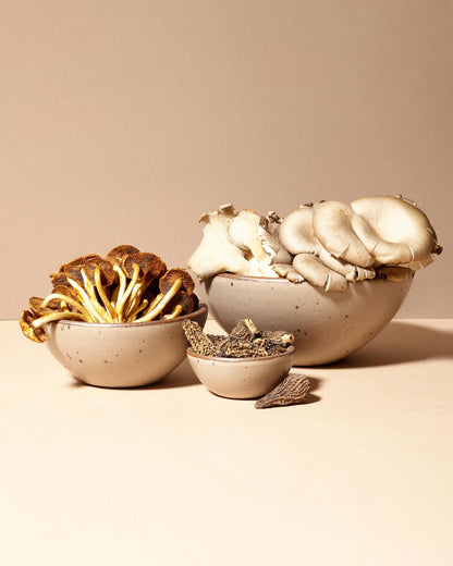 Bitty Bowl (Set of 4) by East Fork - One Size / Eggshell