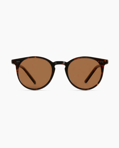Noah Polarized Acetate Sunglasses - Standard / Tortoise with Brown lens