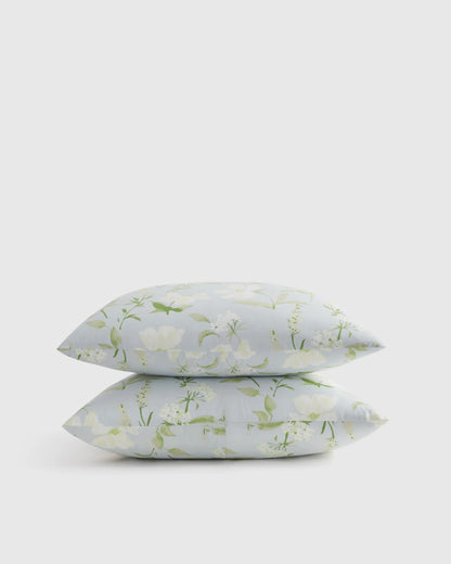 Organic Crisp Percale Floral Sham Set - Standard / Toffee Florette