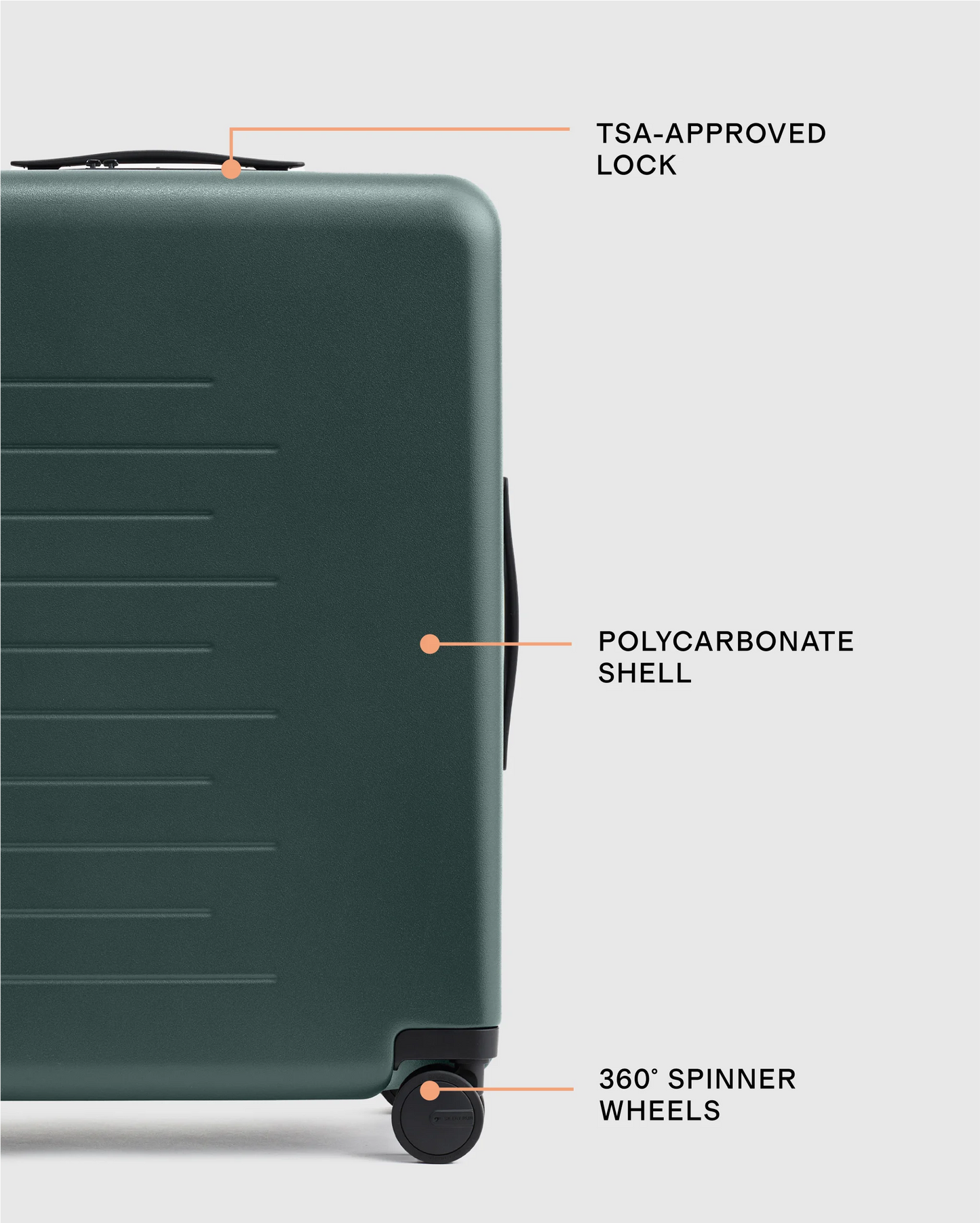 Medium Check-In Suitcase - One Size / Emerald Jungle