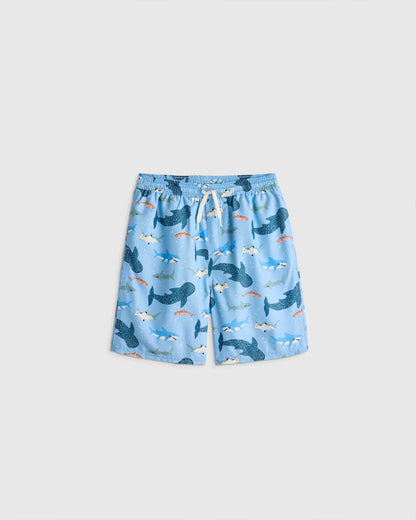 Swim Trunk - 2T / Wavy Fish