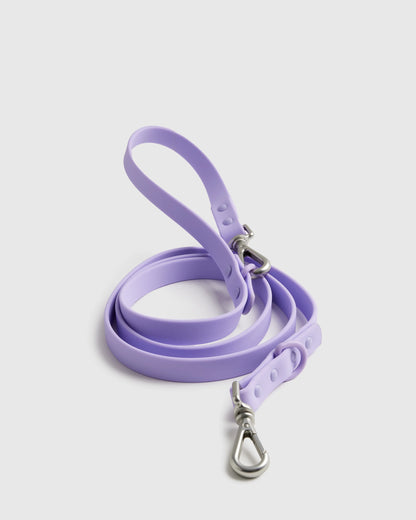 Dog Collar Walk Kit - XS / Black