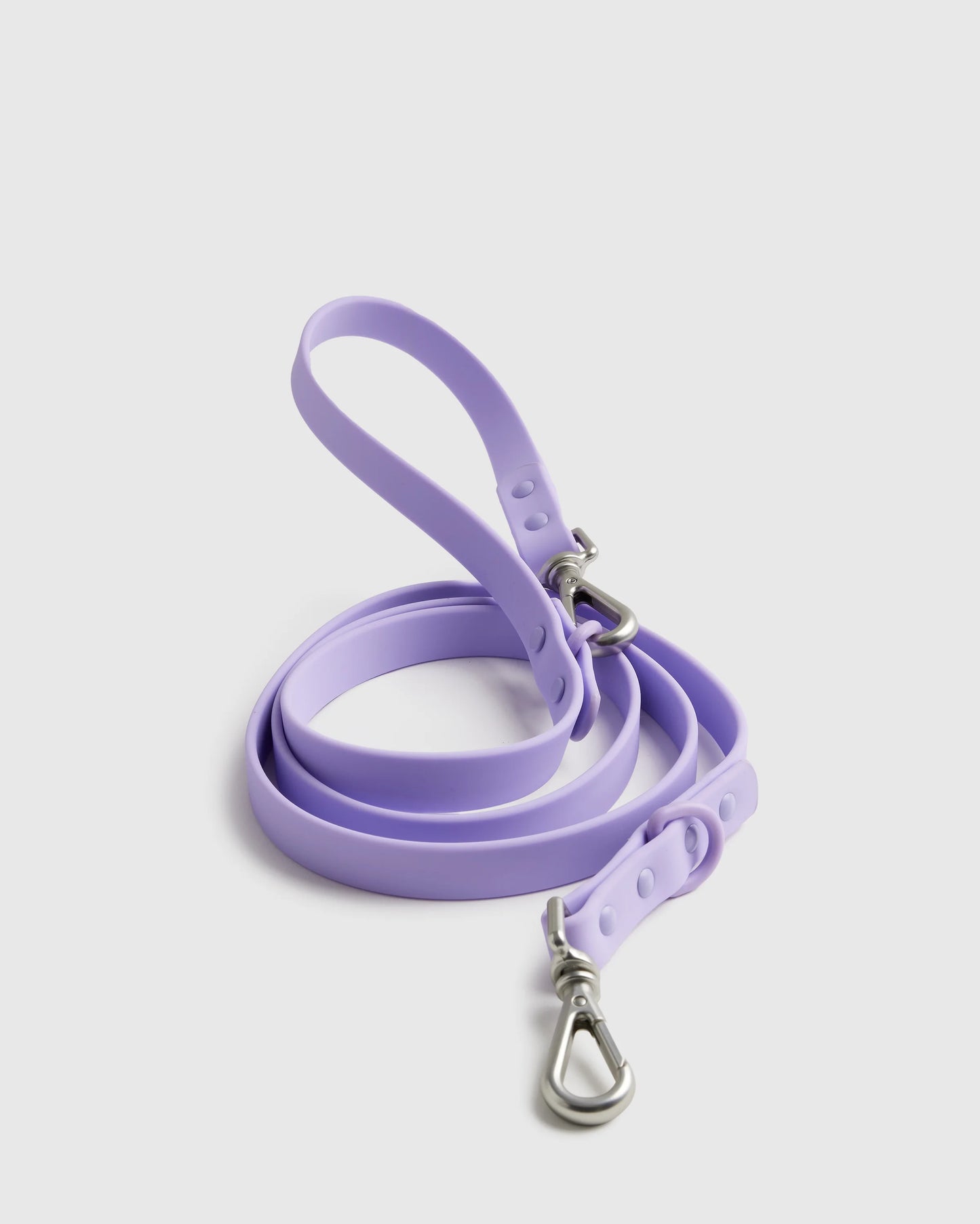 Dog Harness Walk Kit - XS / Black