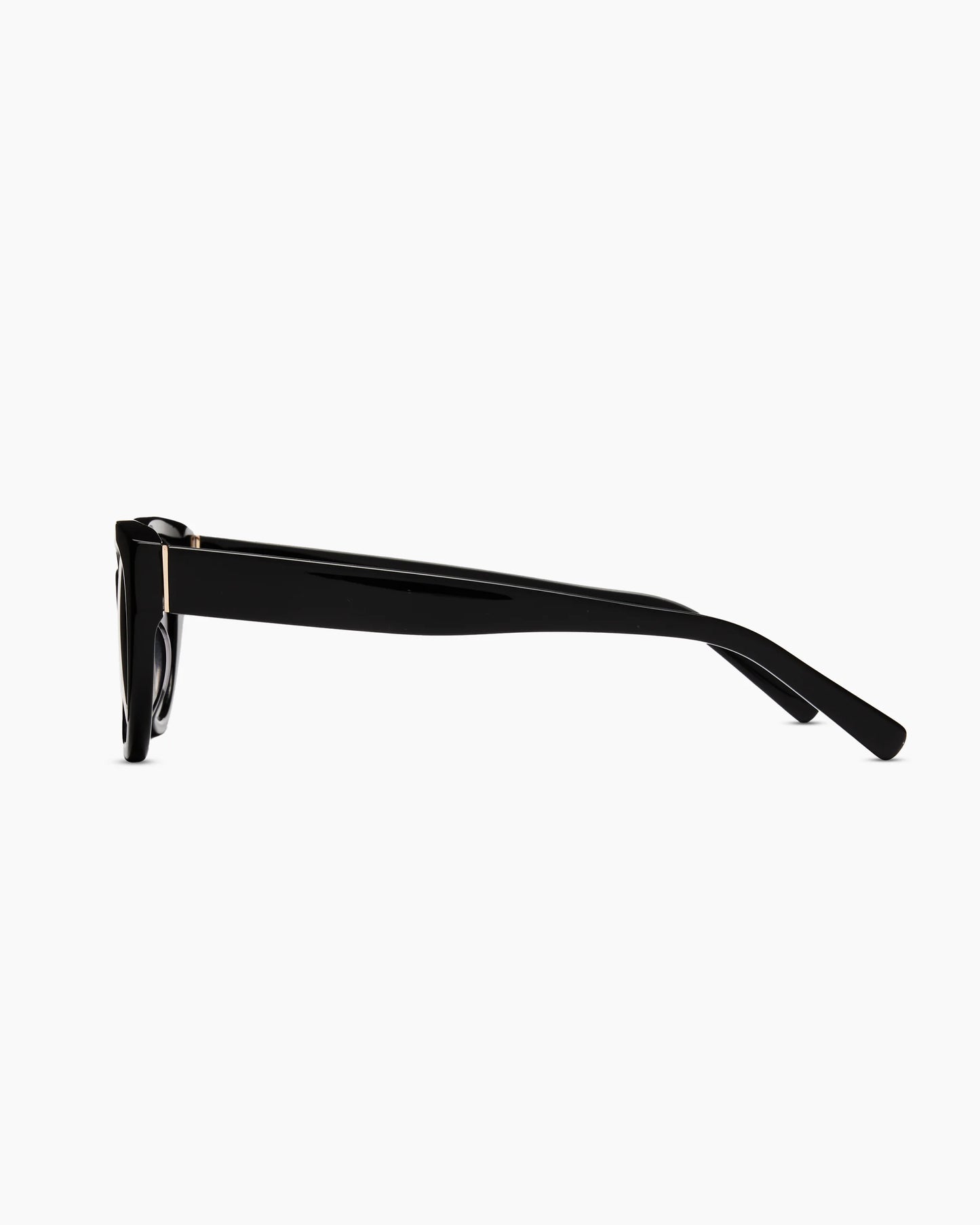 Capri Polarized Acetate Sunglasses - Standard / Black with Grey Gradient lens