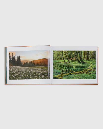 Treasured Lands Leather Bound Book - One Size / No Color