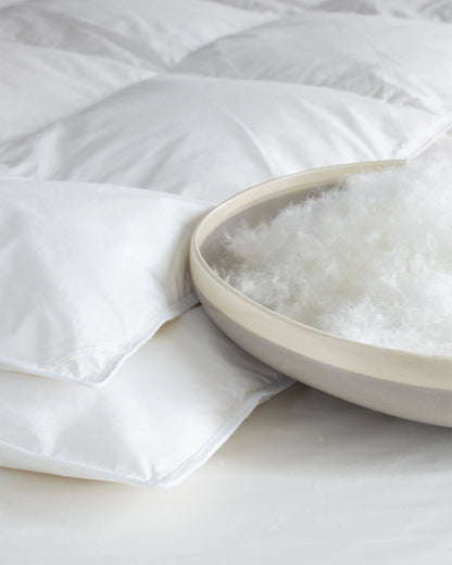 Lightweight Premium Down Duvet Insert - Twin / Down