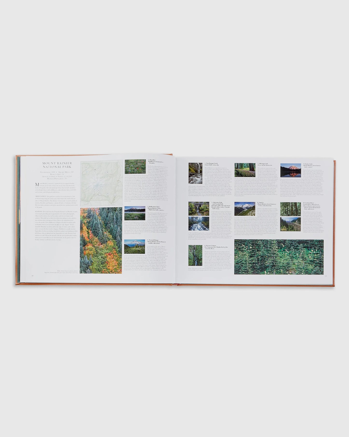 Treasured Lands Leather Bound Book - One Size / No Color