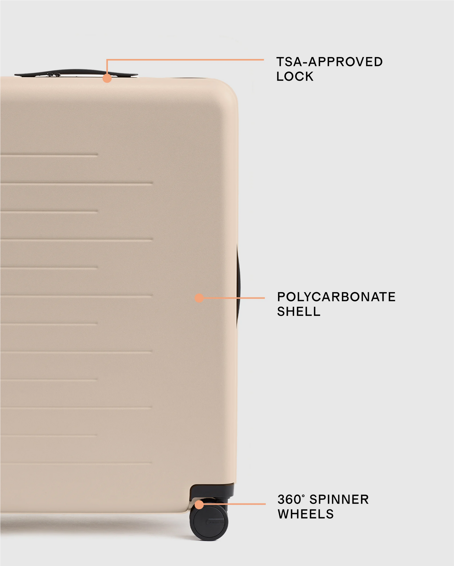 Medium Check-In Suitcase - One Size / Emerald Jungle