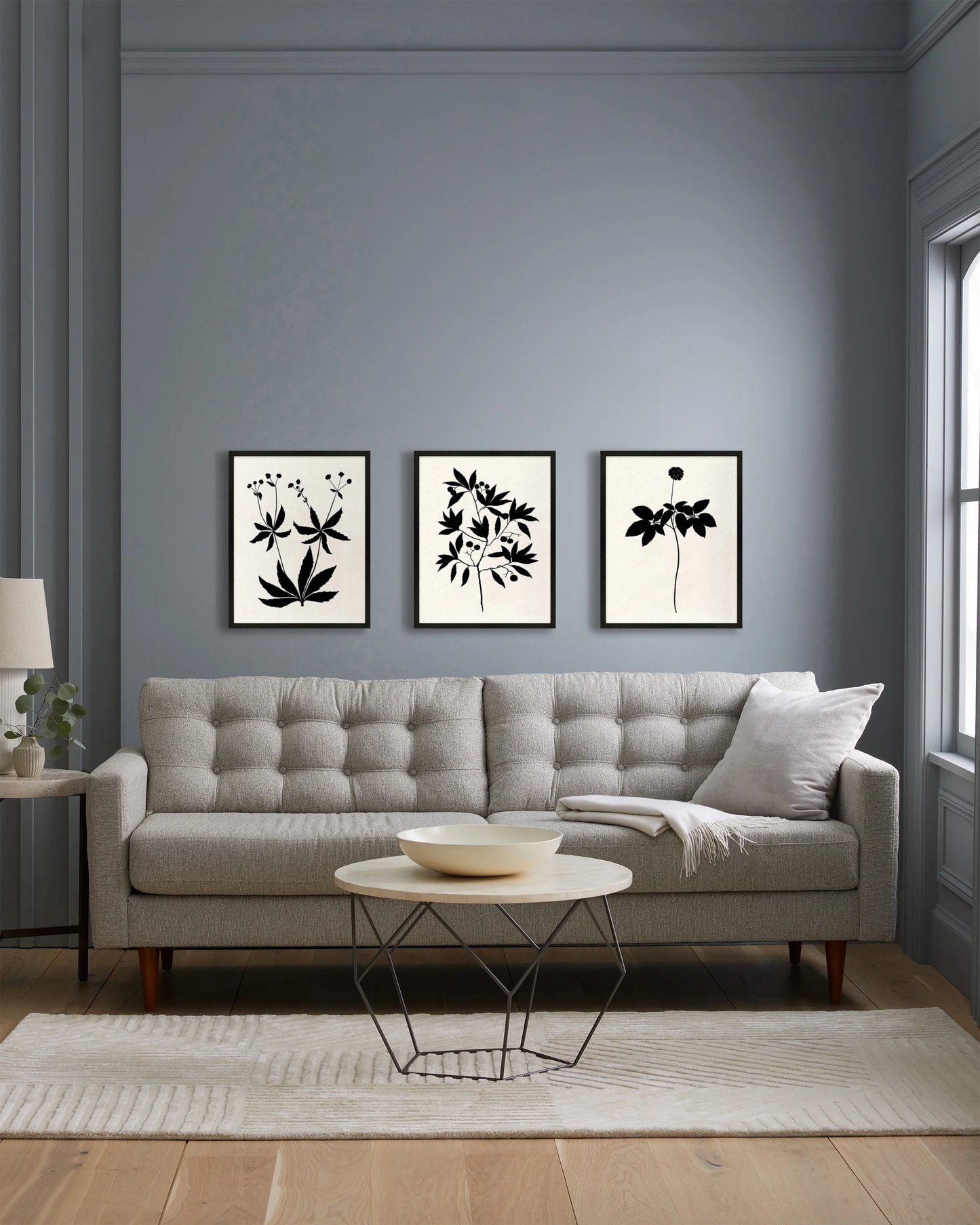 Botanical by Philippa Katz (Set of 3) - 17.25"x21.25" / Black