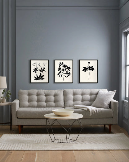 Botanical by Philippa Katz (Set of 3) - 17.25"x21.25" / Black