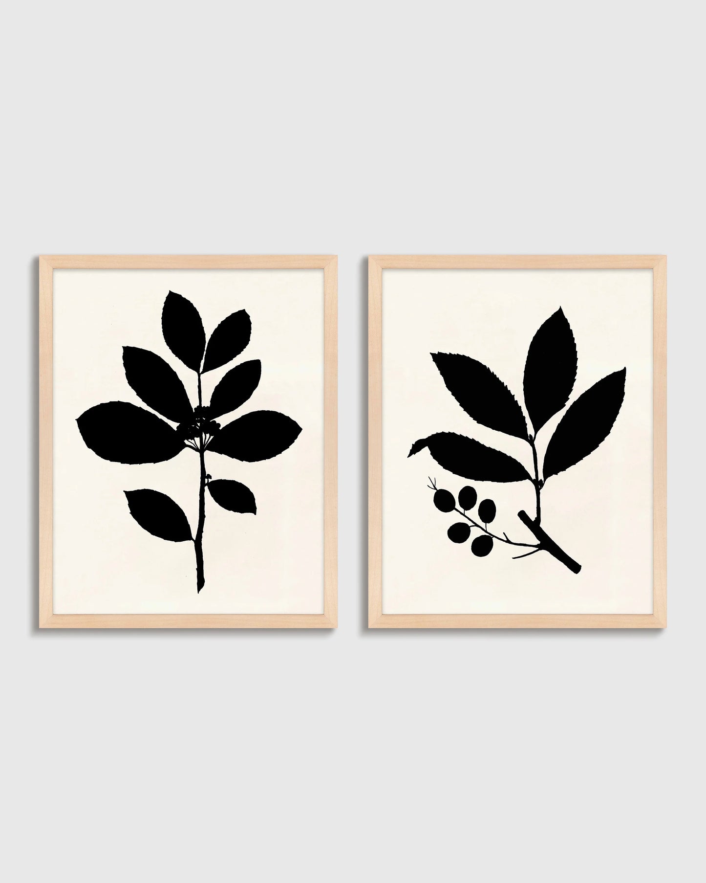 Tea Tree, Cherry Laurel by Philippa Katz (Set of 2) - 17.25"x21.25" / Black