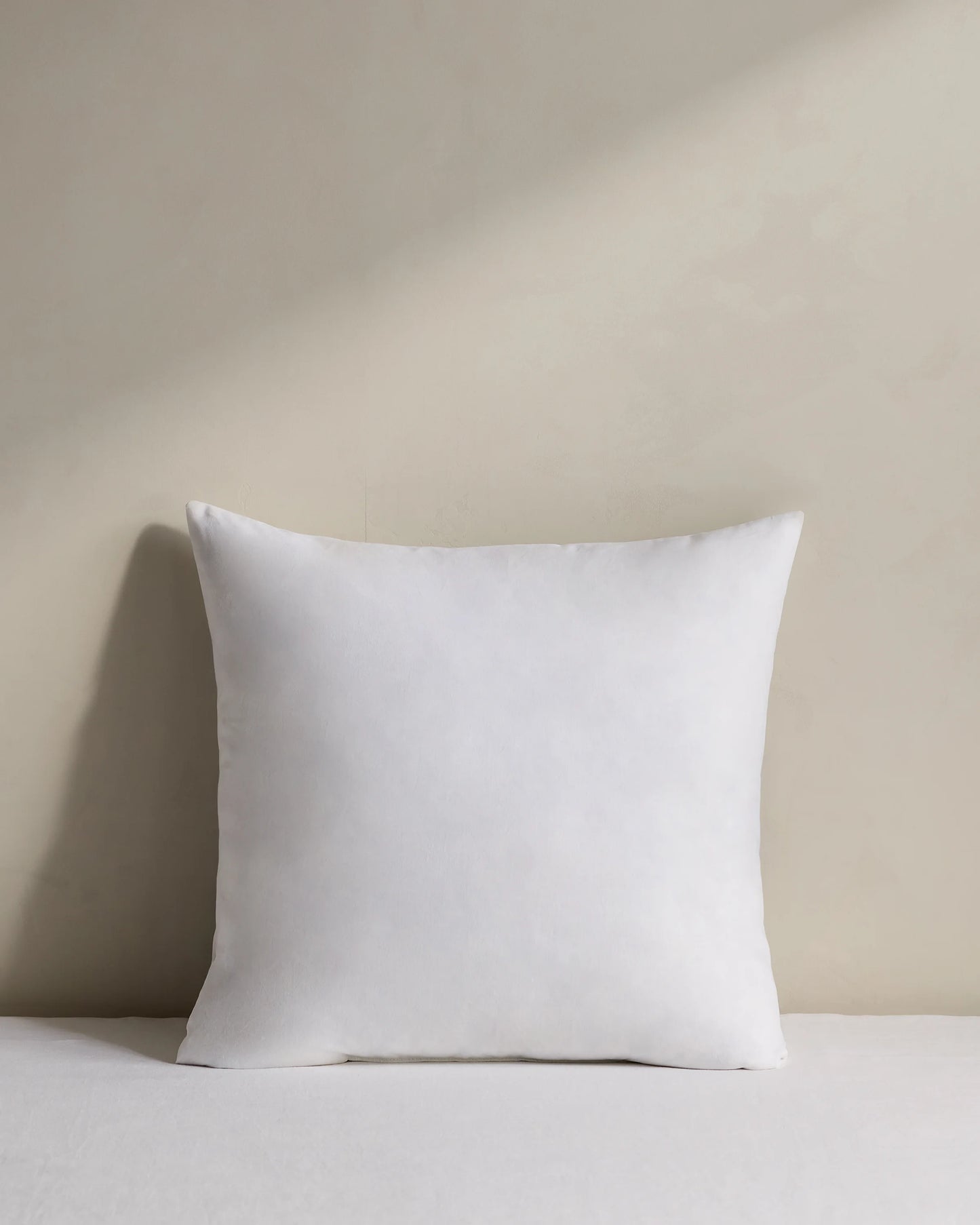 Premium Feather Pillow Insert (Set of 2) - 20x20 / No Color
