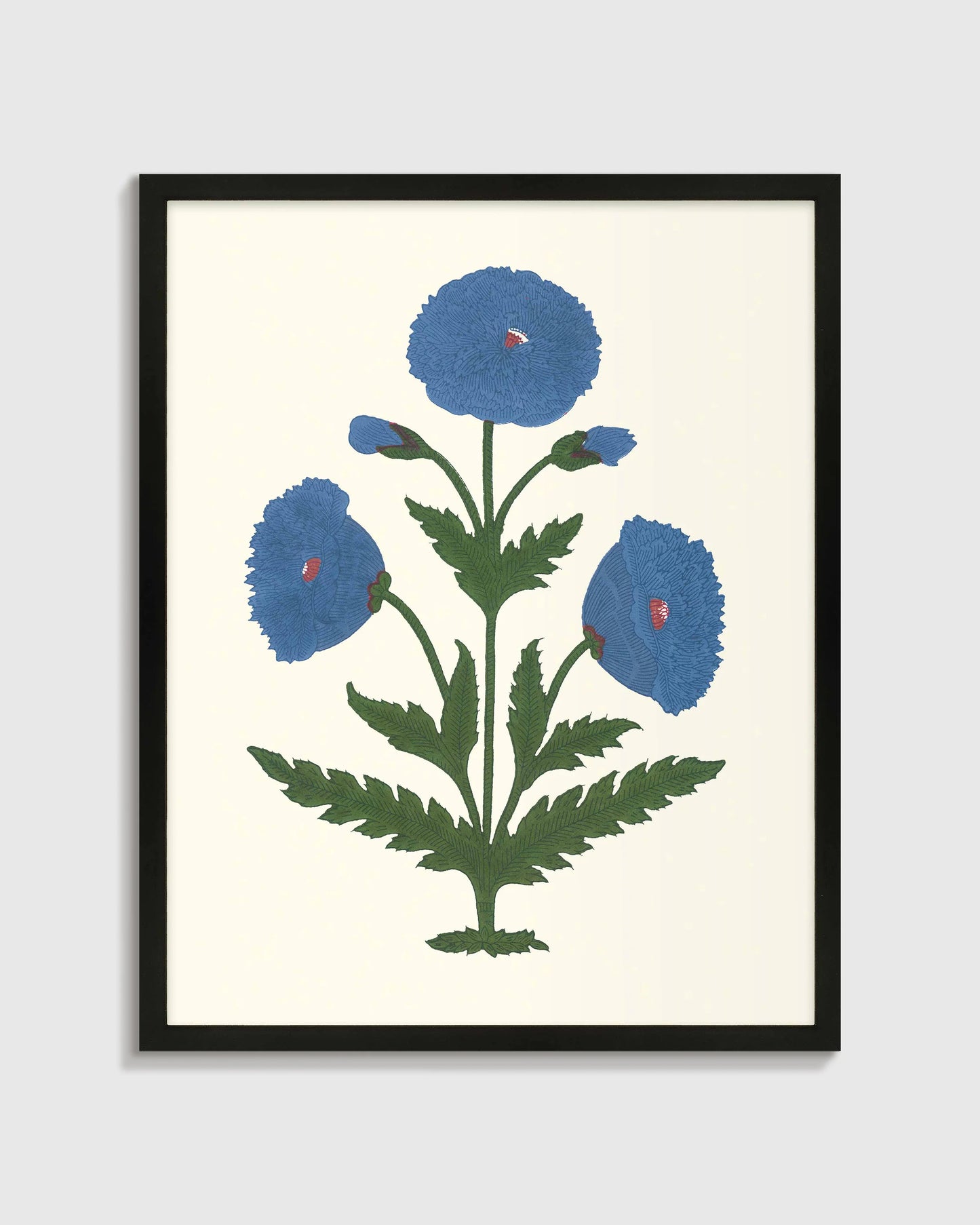 Blue Mughal Poppy Antique Print - 21.25"x26.25" / White