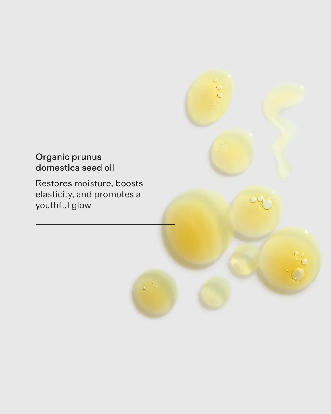 Plum Beauty Oil by Le Prunier - One Size / No Color