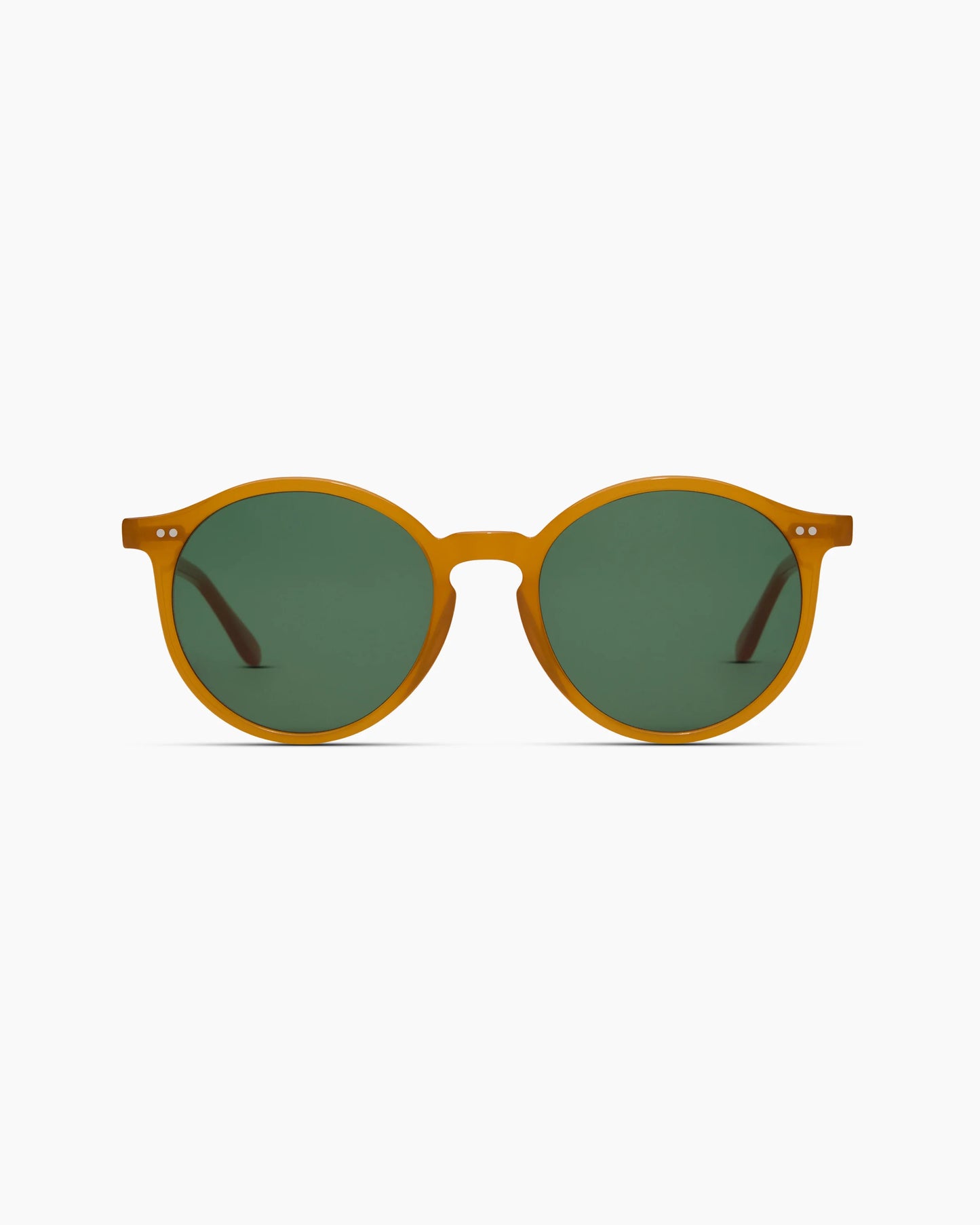 Brixton Polarized Acetate Sunglasses - Standard / Clear Taupe with Brown lens