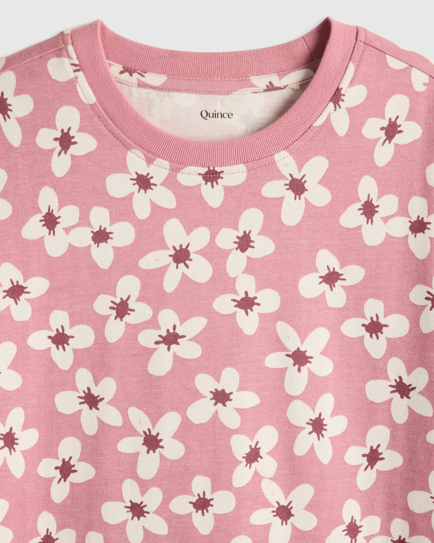 100% Organic Cotton Jersey Short Sleeve Tee - 2T / Dino Sketch