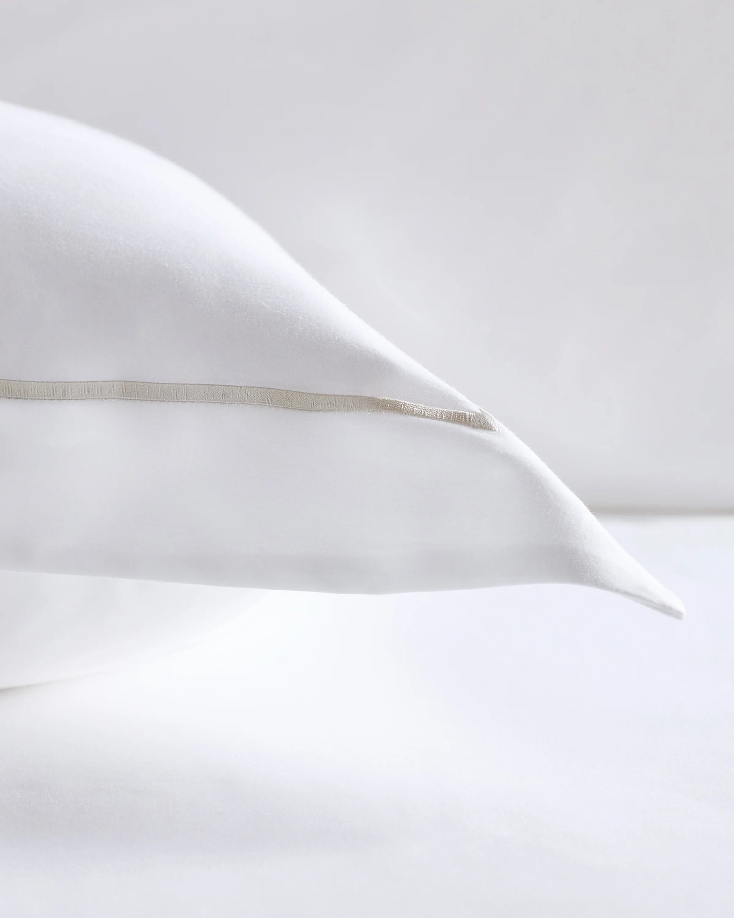 Signature Giza Cotton Sateen Embroidered Euro Sham - Euro / White/Dried Sage