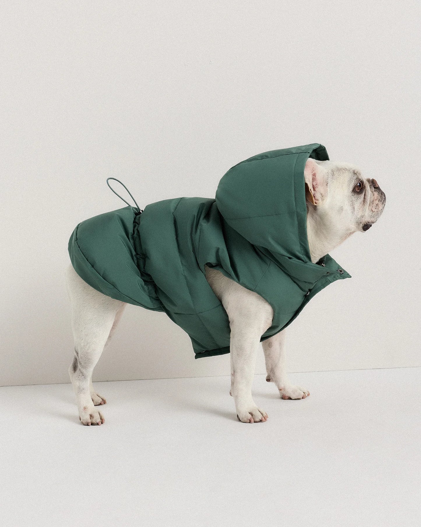 Waterproof Dog Puffer Jacket - XS / Off-White