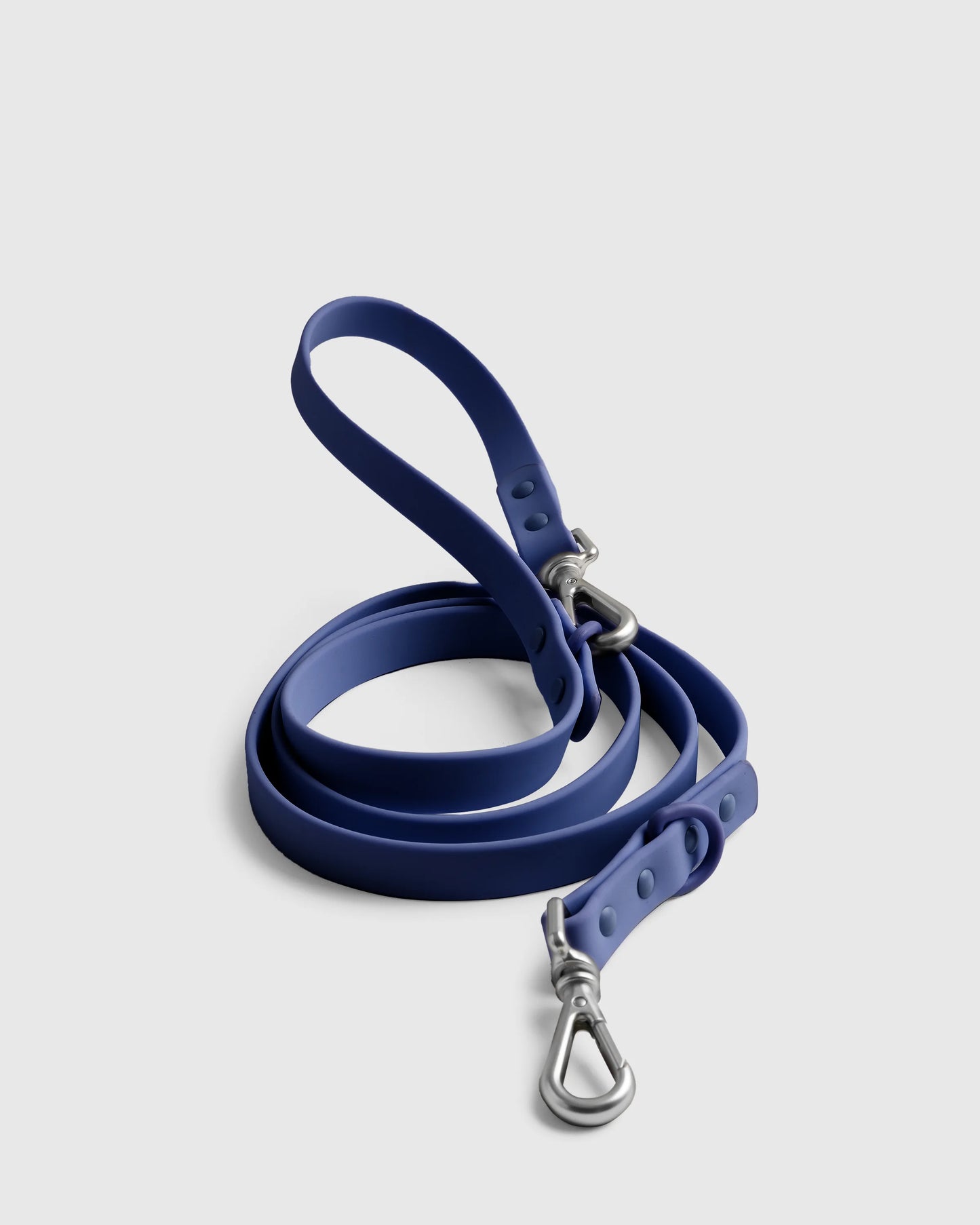 Dog Collar Walk Kit - XS / Black
