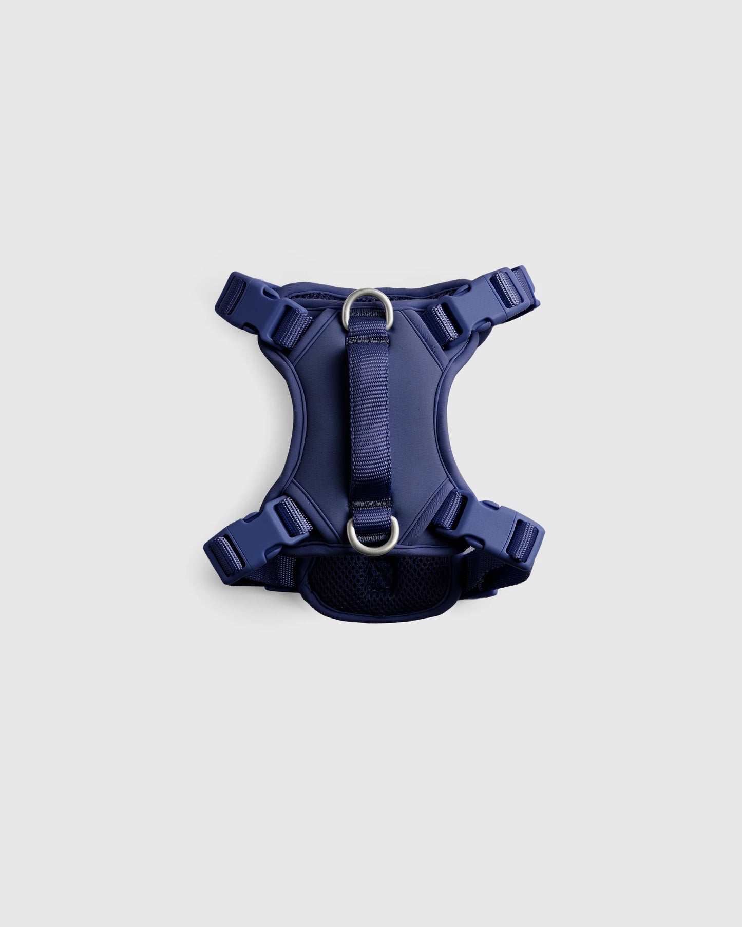 Dog Harness Walk Kit - XS / Black