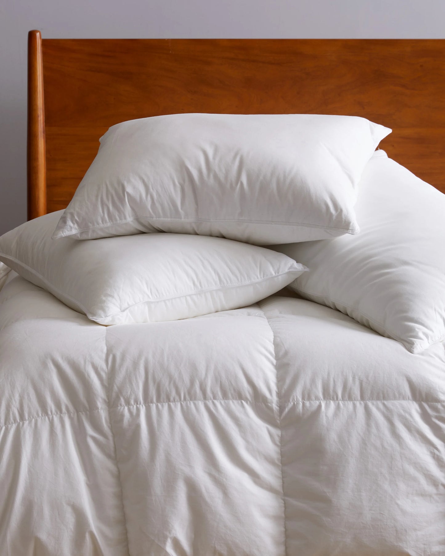 Premium Down Alternative Duvet Insert - Twin / White