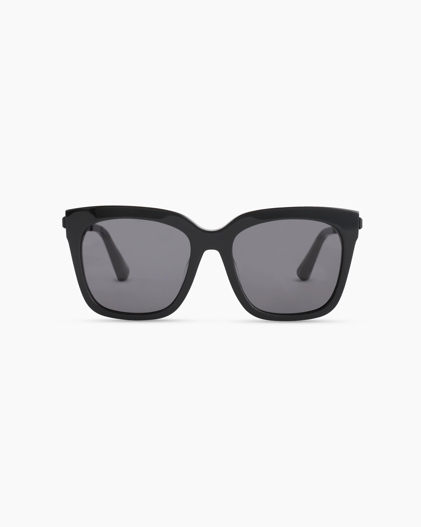 Luca Polarized Acetate Sunglasses - One Size / Black with Grey lens